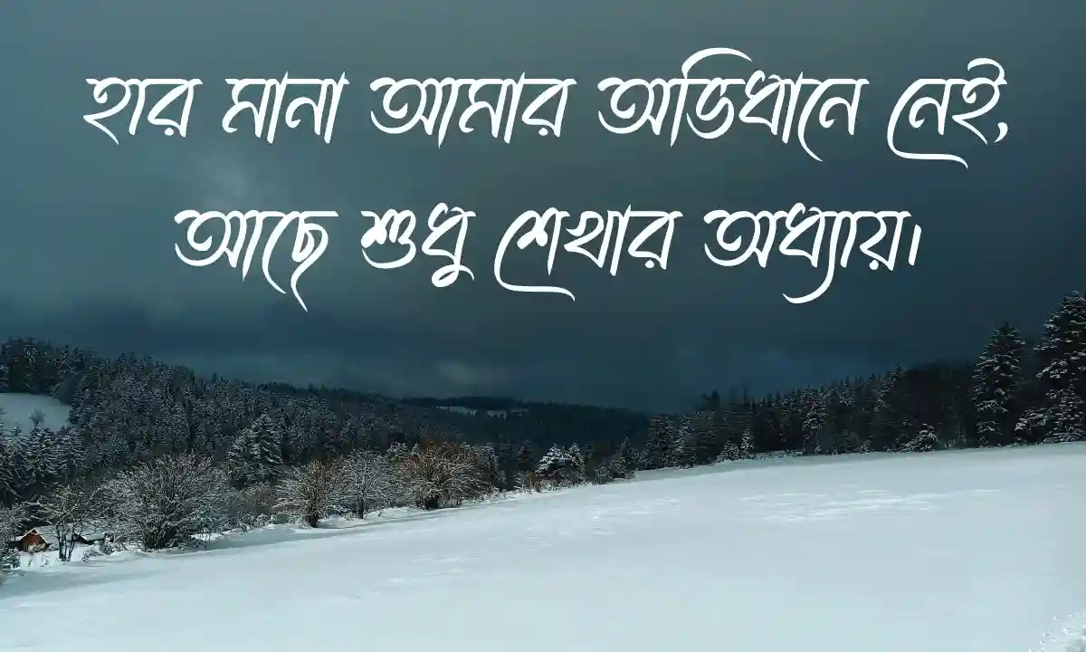 ভাইরাল ইনস্টাগ্রাম পোস্ট