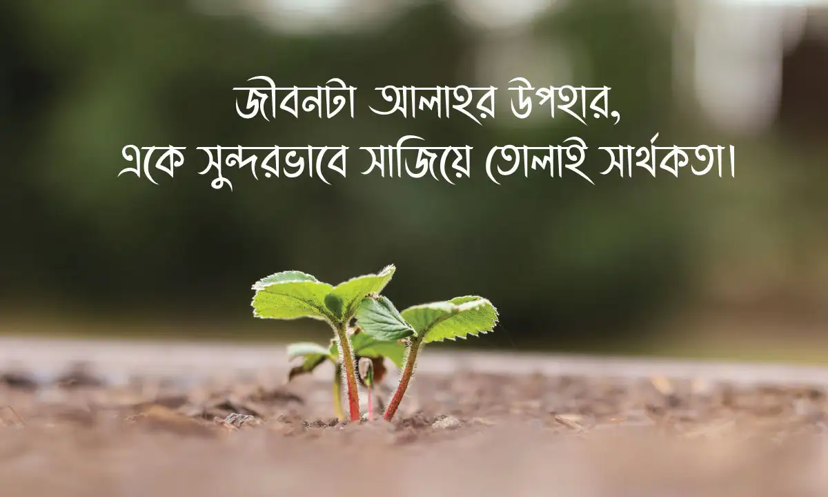 Islamic Status। সেরা ইসলামিক উক্তি