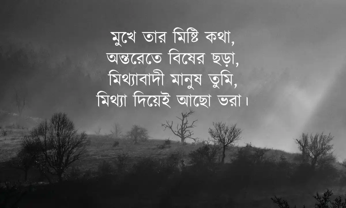 মিথ্যাবাদী নিয়ে ক্যাপশন ও ছন্দ