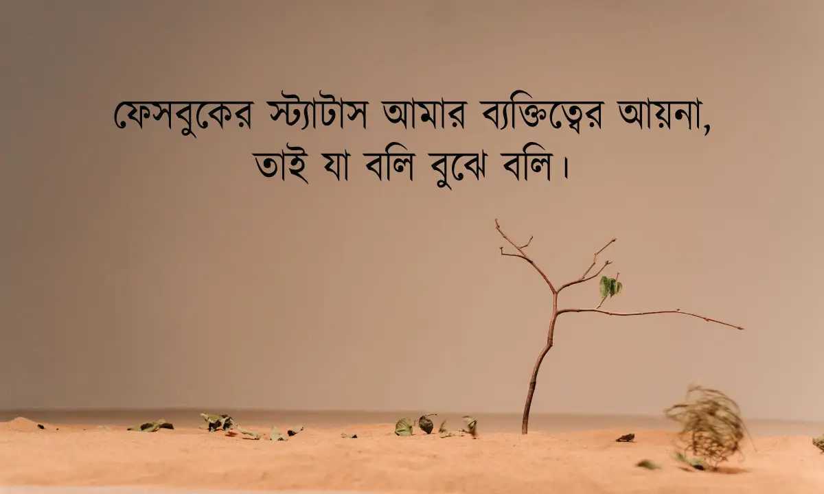 স্টাইলিশ অ্যাটিটিউড ক্যাপশন ও শায়েরি বাংলা